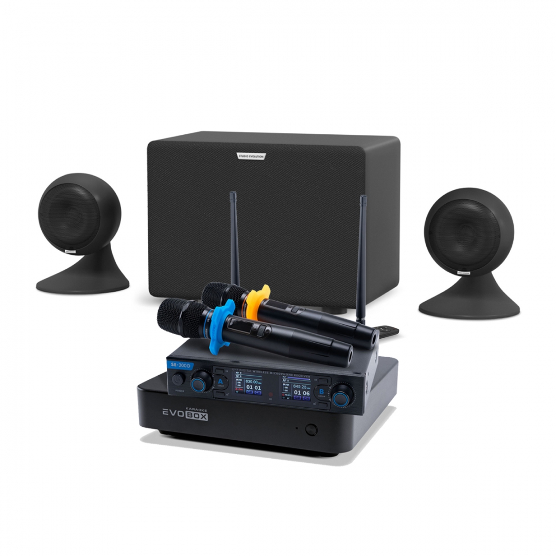 караоке-комплект EVOBOX + EvoSound Sphere 2.1 в Усть-Катаве