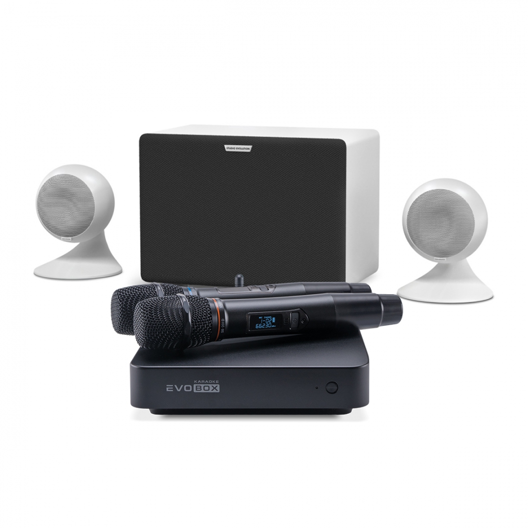 караоке-комплект EVOBOX Classic + EvoSound Sphere 2.1 в Усть-Катаве