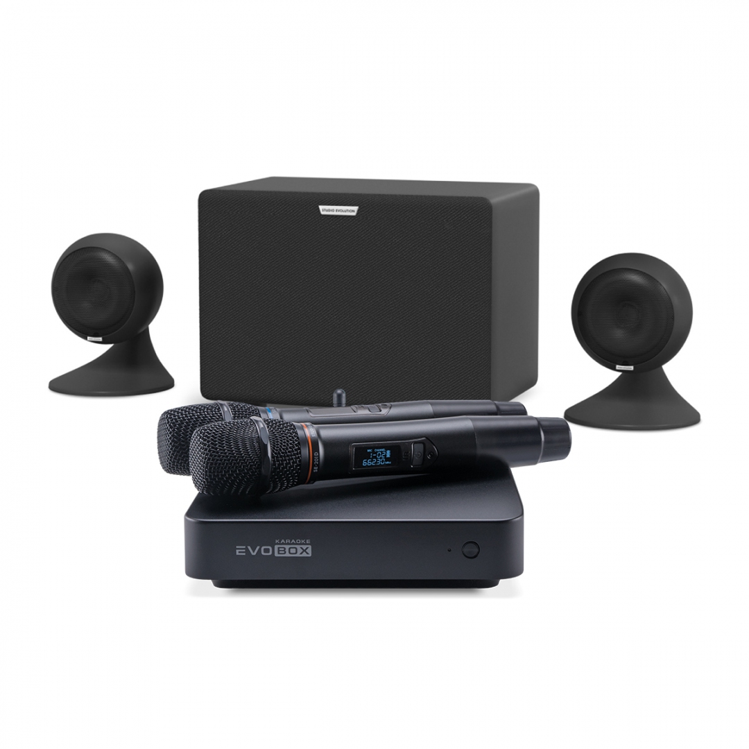 караоке-комплект EVOBOX Plus + EvoSound Sphere 2.1 в Усть-Катаве