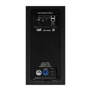 Активная акустическая система AST-310A в Усть-Катаве