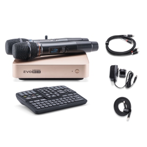 EVOBOX Classic караоке-система для дома в Усть-Катаве