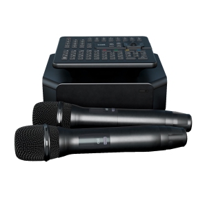 караоке-комплект для Дома AST ZOOM 1/2 и AST-SM6A в Усть-Катаве