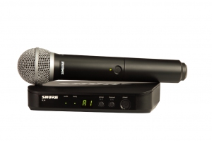 SHURE BLX24E/PG58 M17 вокальная радиосистема в Усть-Катаве